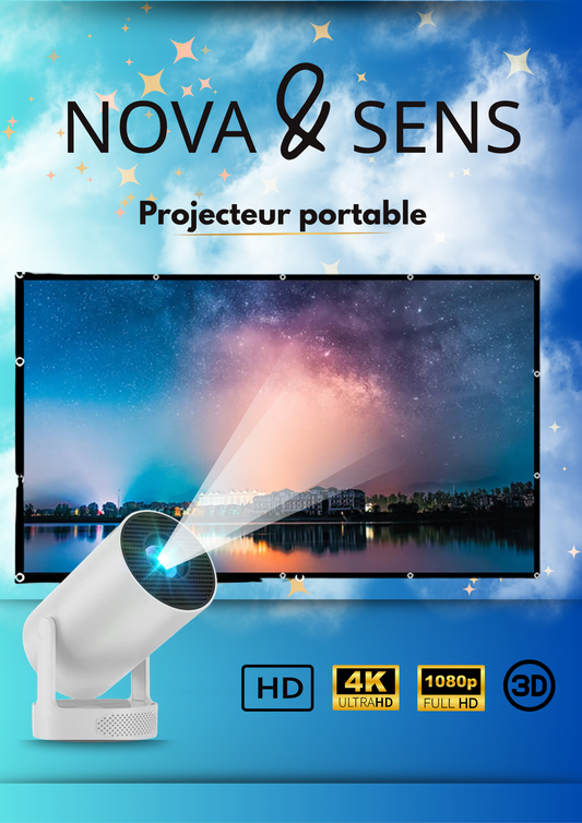 Écran de projection portable